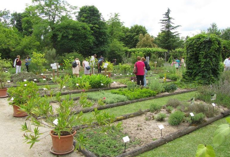 Conservatoire National des Plantes à Parfum, Médicinales et Aromatiques, Milly-la-Forêt, France, France